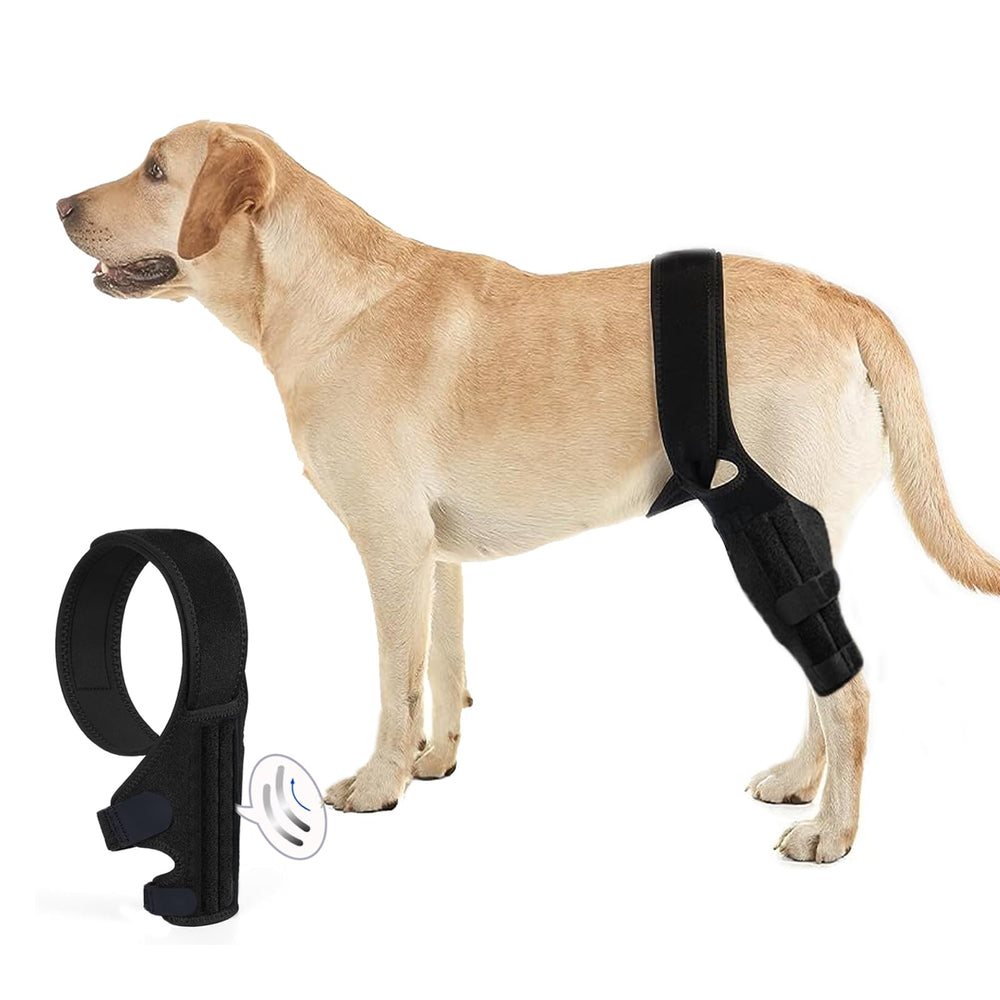 Tinzum L, attelle genou chien arrière vue face, soutien stabilisateur pour la mobilité.