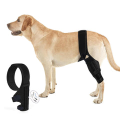 Tinzum L, attelle genou chien arrière vue face, soutien stabilisateur pour la mobilité.