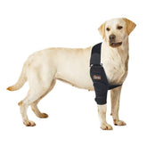 TIPOOP attelle coude chien M droit, vue avant, maintien sécurisé et confort.