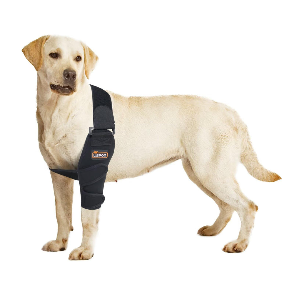 Attelle de coude TIPOOP pour chien XL gauche offrant un soutien cible