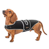 TIPOOP attelle dorsale IVDD Teckel pour soutien lors des promenades quotidiennes.