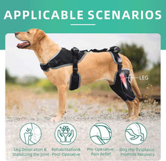 TIPOOP genouillère chien tissu SBR et mesh respirant, respirabilité tout au long de la journée.