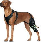 TIPOOP orthèse genou chien arrière offrant maintien sûr pendant les promenades.