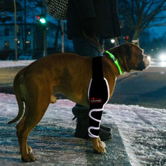 Tipoop orthese-coude-chien-reflechissante, visibilité accrue lors des sorties.