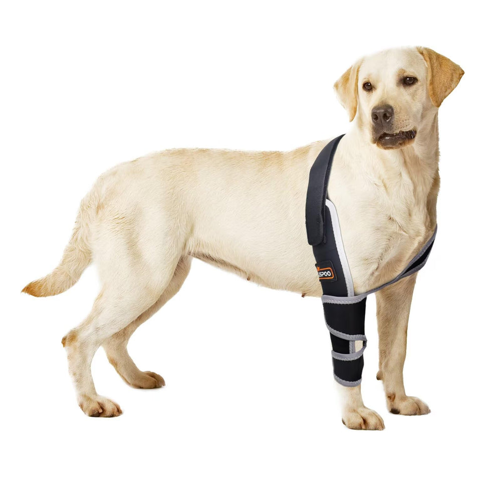 TIPOOP protège-coudes chien montrant le soutien avant pour mobilité améliorée.