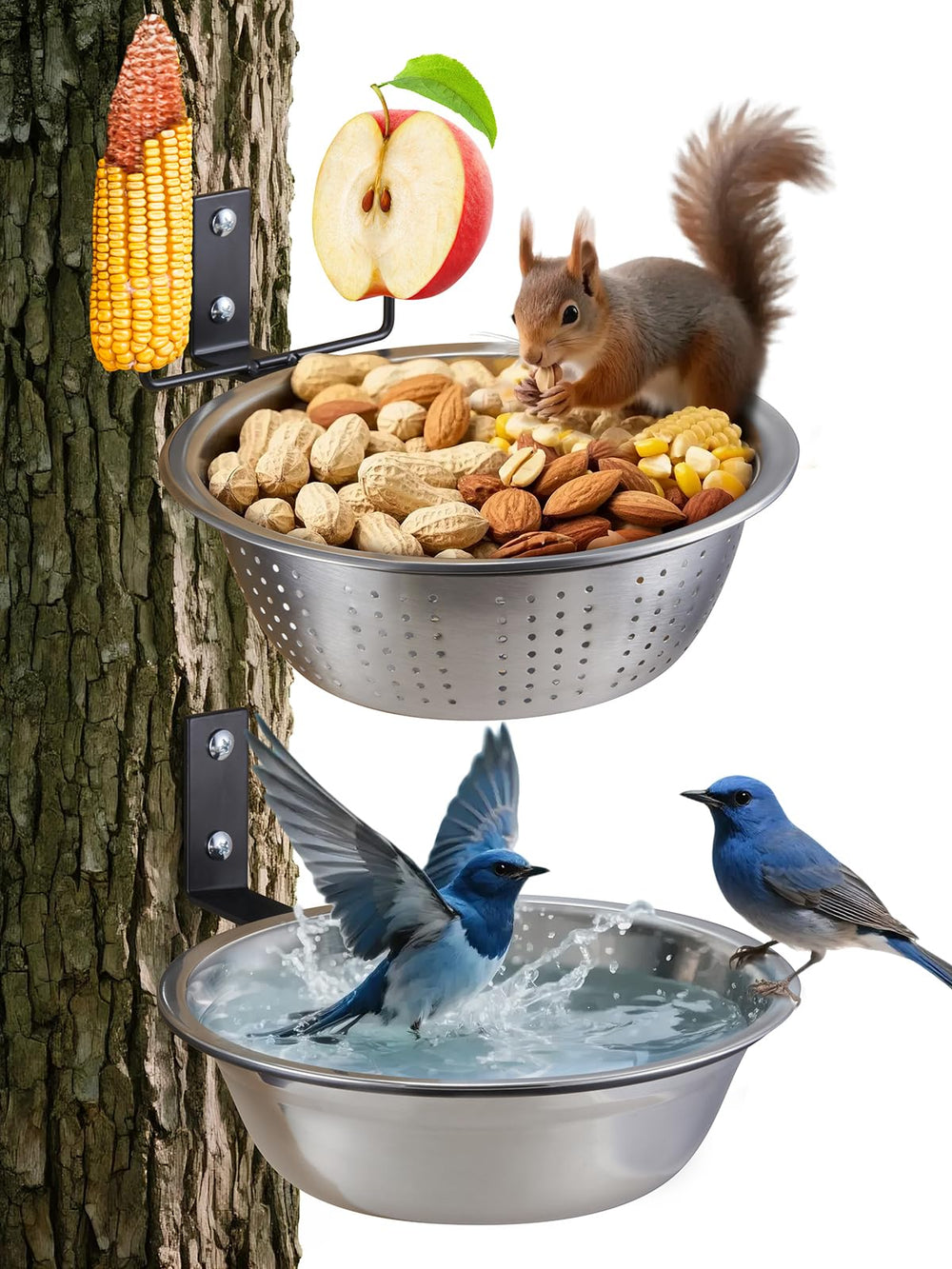 Nourrisseur TKMSV et écureuils/oiseaux, 8,5 pouces, drainage pour aliments frais.