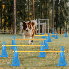 TNZMART perches d'agilité bleues à hauteur ajustable pour progression canine