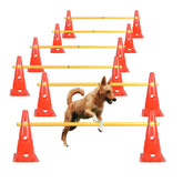 TNZMART set obstacles chien: cônes colorés pour entraînement à domicile.