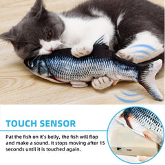 Poisson Tocirelo avec herbe à chat, incite au jeu et à l exploration