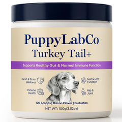 TOGOLIUN Puppylabco tramète-versicolore chien, bouteille: soutien potentiel du microbiome