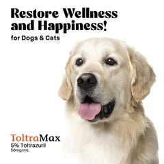 ToltraMax Toltrazuril pour chevaux, solution polyvalente pour animaux.