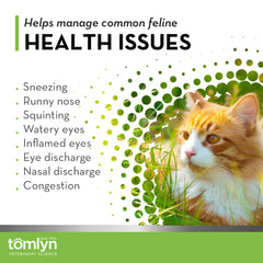 Dose quotidienne recommandée de L-Lysine pour chat