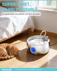 Tomxcute fontaine-chat, corps-acier-inox-304, facile à nettoyer et sans plastique.