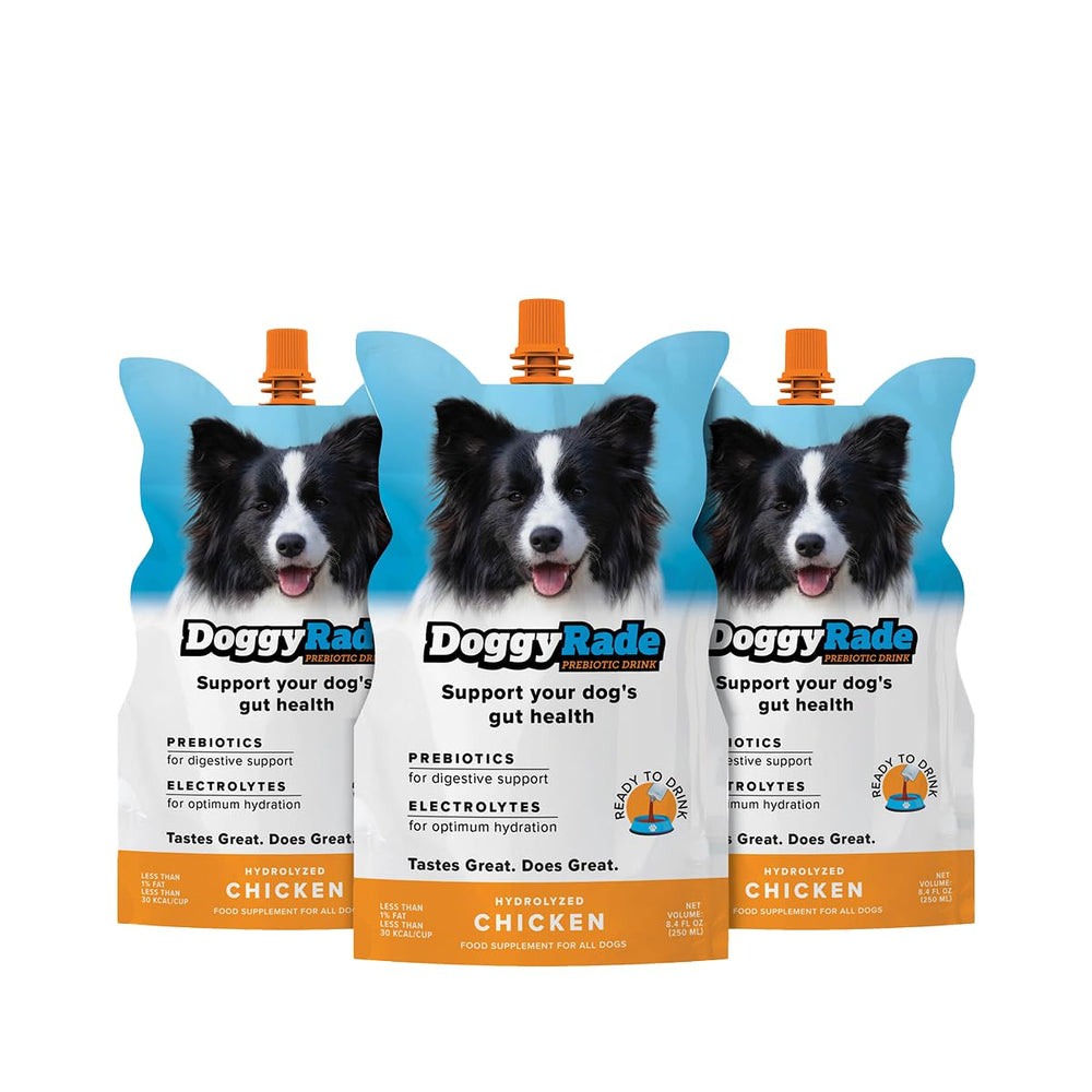 Tonisity DoggyRade, poche fermable au goût poulet, hydratation pratique lors des sorties.