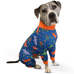 Tooth & Honey dinosaure pyjama chien visage: douceur et confort pour câlins