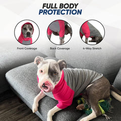 Col roulé Tooth & Honey pour chien grand, look tendance et confort.