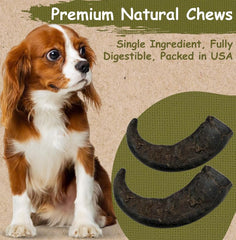 Top Dog Chews corne buffle eau format petit idéal pour petites bouchées résistantes.