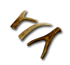 Top Dog Chews nettoyage dents par mastication naturelle et efficace.