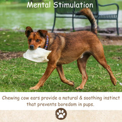 Top Dog Chews oreilles de vache epaises detail texture, croquant naturel.