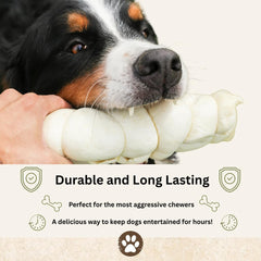 Top Dog Chews: Nettoyage dents et gencives avec rouleaux joue boeuf