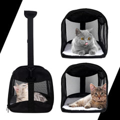 Top tasta sac chat pliable et portable pour le rangement.