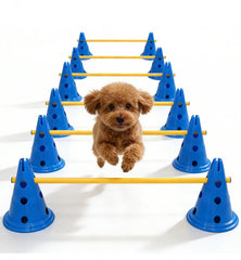 Toplamper cônes d’agilité chien, 12 pouces, parfaits pour débutants et entraînement.