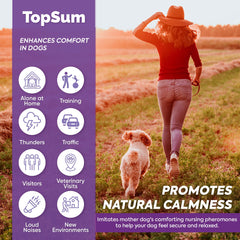 Pack TopSum de diffuseurs et recharges pour une tranquillité durable.