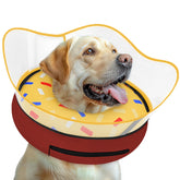 Toptakeit collier donut gonflable pour chien – confort postop et prévention du léchage