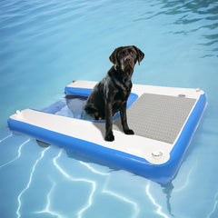 Toriexon rampe chien-bateau antidérapante, montée sûre sur votre bateau.