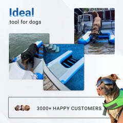 Toriexon rampe chien-piscine antidérapante, aide votre chien à sortir de l eau.
