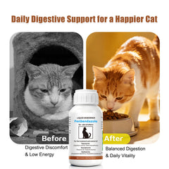 Totoketty Vermifuge Chat – dilution dans l’eau pour administration pratique