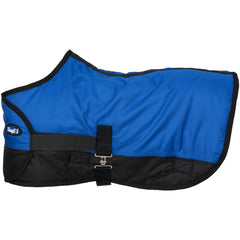 Couverture Tough1 pour poulain 600D bleue royale, confort et ajustement.