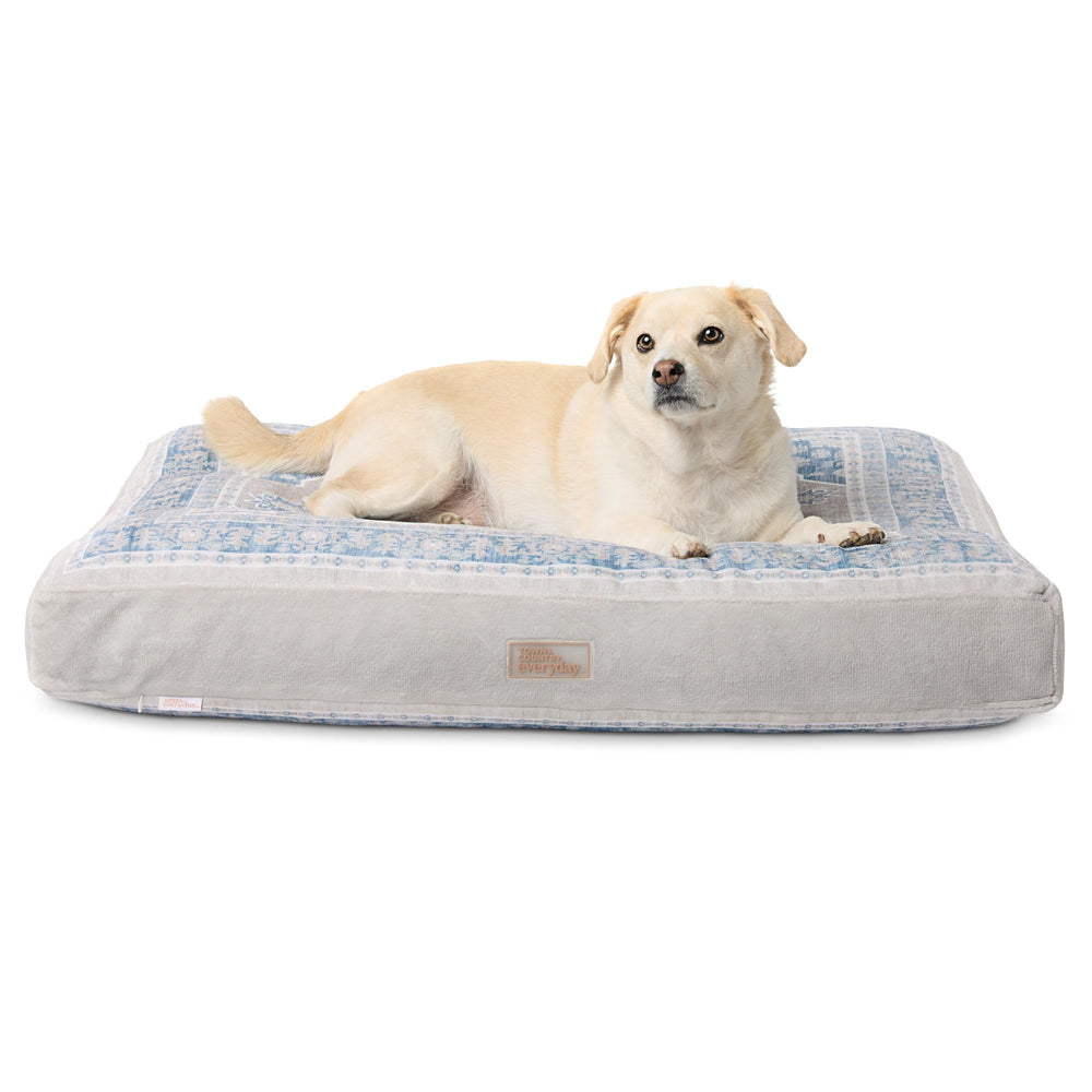 Town & Country Everyday CuddleTown oreiller medallion en velours, douceur pour votre animal.