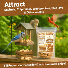 Trailmark Naturals alimentation faune naturelle pour un jardin vivant et sain.