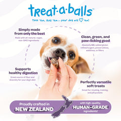 TREAT-A-BALLS balle-banane-myrtilles, collation saine et gourmande pour chiens.