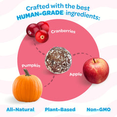 Ingrédients naturels Treat-A-Balls sans additifs artificiels.