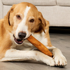 Gros plan sur les rouleaux collagène poulet, délices pour chiens de grande taille