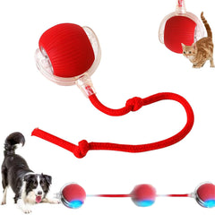 Treayes balle interactive rouge en action pour chiots et chats, stimulation ludique.