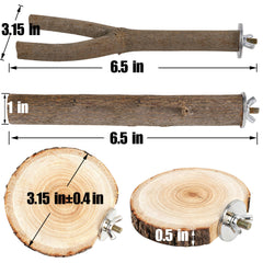 Treewoll perchoir bouleau fourche: variation visuelle pour l exploration.