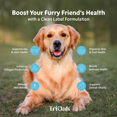 TriOak formule enrichie, démangeaisons réduites et confort de la peau chez les chiens.