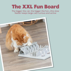 TRIXIE Fun Board XXL stimulation intérieure pour chats d'intérieur et divertissement durable
