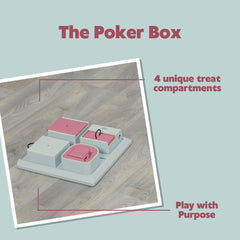 TRIXIE Poker Box initiation douce pour chaton curieux.