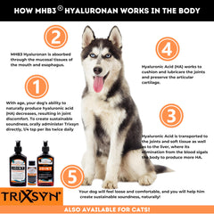 Gouttes TRIXSYN Canine pour dosage quotidien facilité