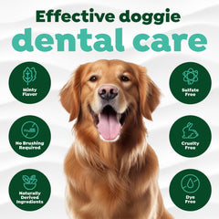 Usage universel pour chiens et chats, hygiène buccale facile