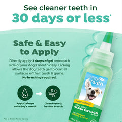 Chien souriant après l’utilisation du Gel Dents TropiClean.