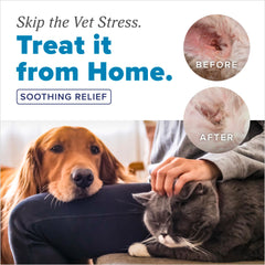 Utilisation à domicile avec TropiClean HomeVet pour chiens et chats.