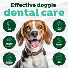 TropiClean routine-dent-chien-quotidienne, brossage régulier pour des dents propres.