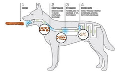 TRURANCH chien mordillant bâton peau de porc fumé, plaisir sain pour chiens.