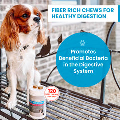 Chien en train de manger les friandises PawMedica savoureuses.