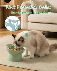 TRUVIC bol élevé et incliné pour chat, meilleure posture pendant le repas.